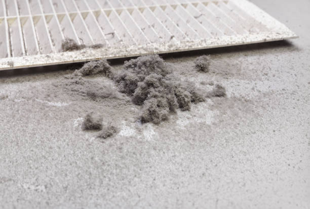 Best HVAC Maintenance and Cleaning  in Crane, MO