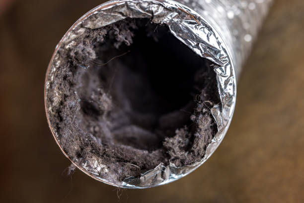 Best Duct Cleaning for Offices  in Crane, MO