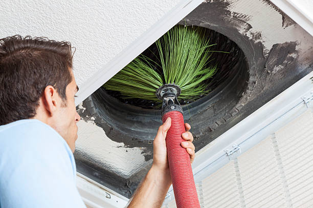 Best Dryer Vent Cleaning Services  in Crane, MO