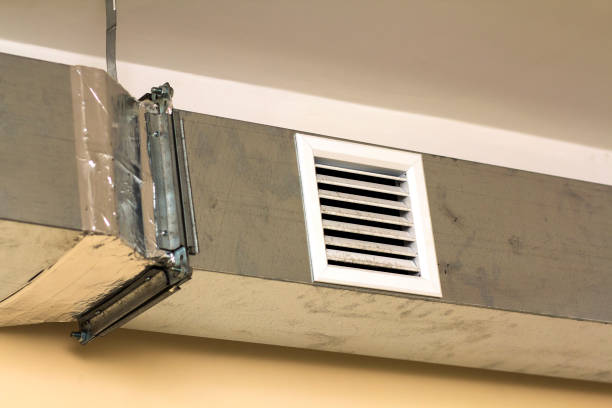 Best Residential Air Duct Cleaning  in Crane, MO